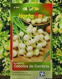 Hortalizas de Cebolla Cambray