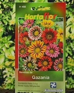 Flor de Gazania