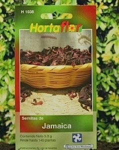 semilla de Jamaica