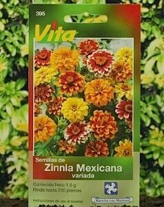 Zinna Mexicana