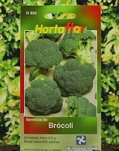 Hortaliza de Brócoli